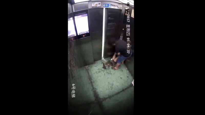 Cô gái trẻ bị hàng xóm sàm sỡ trong thang máy, dân mạng phẫn nộ vì lý do thủ phạm đưa ra và hình phạt quá nhẹ nhàng-2