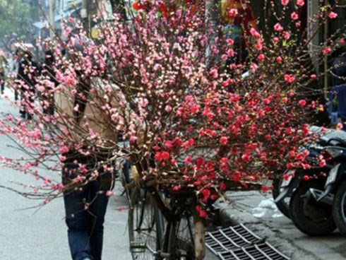 Dự báo thời tiết 11/1, miền Bắc trở rét từ đêm nay