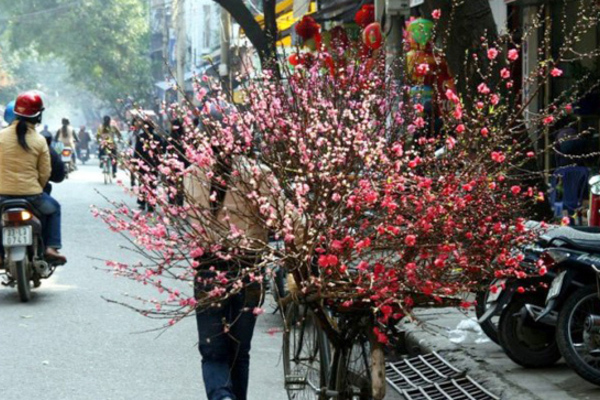 Dự báo thời tiết 11/1, miền Bắc trở rét từ đêm nay-1