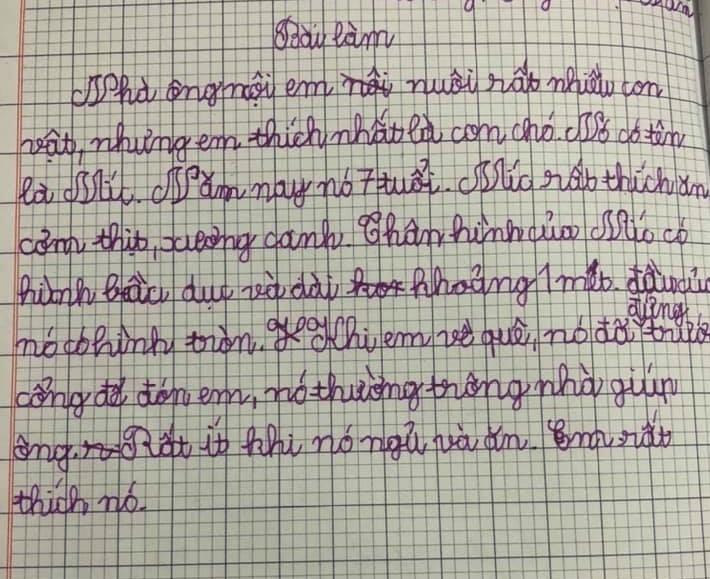 Những bài văn đáng yêu hết nấc của trẻ-4