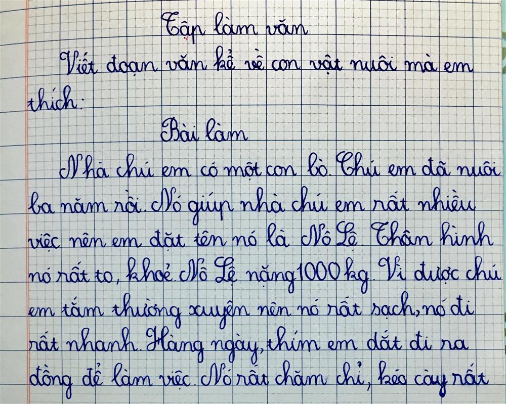 Những bài văn đáng yêu hết nấc của trẻ-6