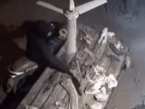 Kẻ gian vào cửa hàng trộm điện thoại-1