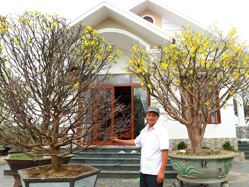 Phật Di Lặc hiện hình trên quả dừa, vàng rực giữa mùa Tết này-4