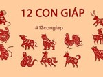 Top 3 con giáp may mắn nhất tuần từ 13/1 - 19/1: Đầu tuần gặp được quý nhân, giữa tuần công việc suôn sẻ và phát tài trước Tết-4