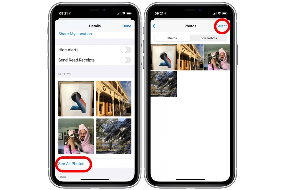 Cách tải tất cả ảnh từ Facebook, Messenger và iMessage về iPhone, iPad-5