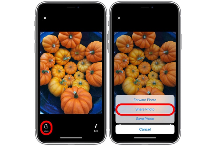 Cách tải tất cả ảnh từ Facebook, Messenger và iMessage về iPhone, iPad-19