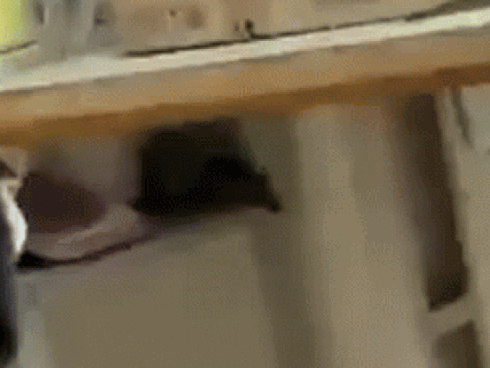 Học sinh không may làm rách bài kiểm tra, thầy giáo nhanh tay vá” giúp khiến cả lớp ngồi thở vì cười quá mệt-2