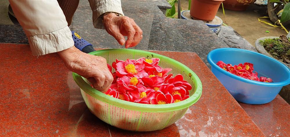 Về làng hoa Đồng Dụ ngắm cây hải đường cổ thụ hơn trăm tuổi-8