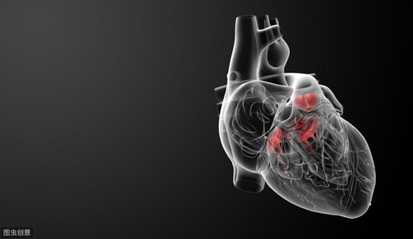 Người có tuổi thọ cao thường không có 5 bệnh: Hãy xem bạn có vấn đề nào không để xử lý sớm-2