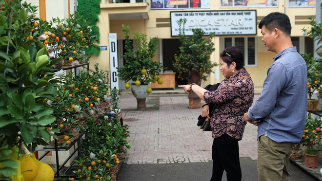 Quất cảnh bám đá phong thủy 4 triệu đồng/bình vẫn đắt hàng sát Tết-11