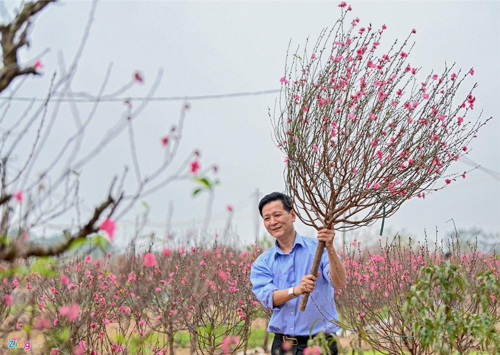 Vườn đào ngập sắc hồng, nông dân thấp thỏm lo mất Tết-8