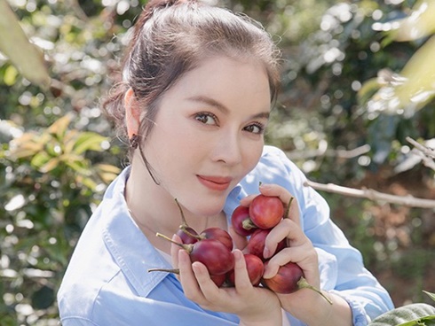 Mỹ nhân chán phố về quê: Lý Nhã Kỳ làm nông trường, Minh Hằng mua đất trồng cây, nuôi cá-19