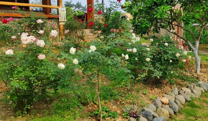 Nữ bác sĩ quyến rũ nam đồng nghiệp có vợ và cái kết đắng ngắt-1