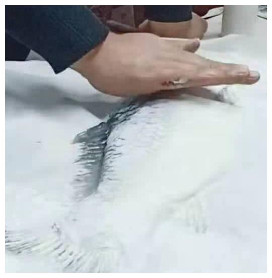 Đi học mẫu giáo có bài tập vẽ cá, cậu bé cùng ông nội làm ra tác phẩm bằng cách bá đạo khiến cô giáo trầm trồ-1