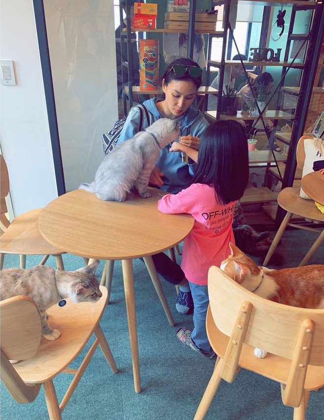 Jang Dong Gun: Phản bội Á hậu Hàn Quốc, dính lùm xùm mua dâm dù đã kết hôn 10 năm-5