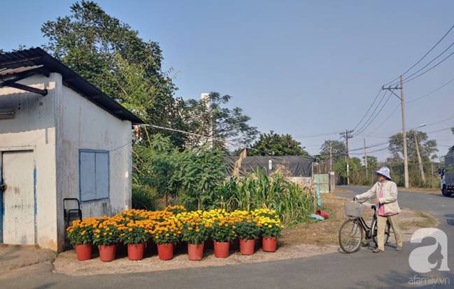 Người vợ ra đi trên tay chồng” khi đi lấy hoa Tết mưu sinh và cái kết có hậu được tạo ra bởi tấm lòng người Sài Gòn-3