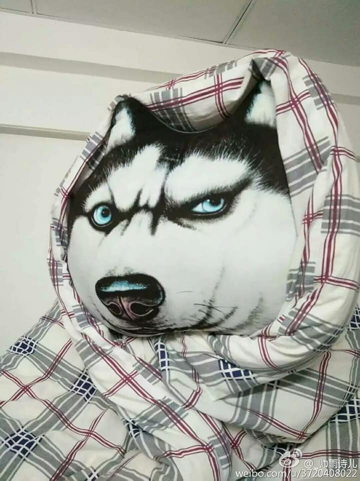 Giáo viên chủ nhiệm đến kiểm tra kí túc xá bị học trò cả gan hù dọa, thầy tung đòn trị ngay hội nhất quỷ nhì ma-10