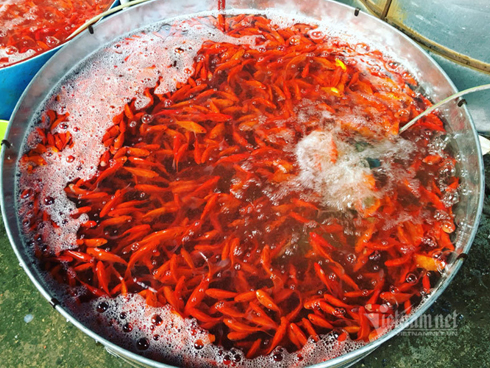 Bà chị chợ đầu mối tiết lộ bí mật cá chép nuôi gắn mác cá sông bán khắp chợ-5