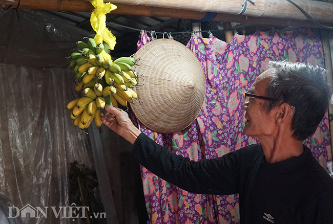 Chuối tiến vua quê Chí Phèo giá tăng chóng mặt vẫn cháy hàng Tết-3
