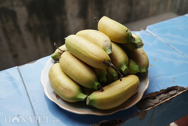 Chuối tiến vua quê Chí Phèo giá tăng chóng mặt vẫn cháy hàng Tết-9