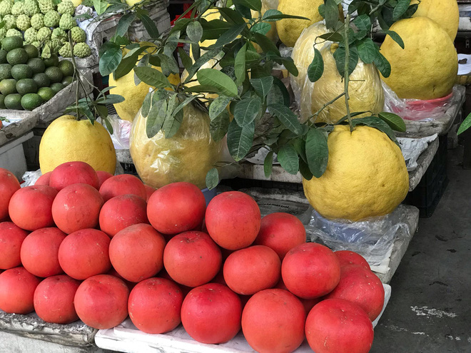 Bưởi siêu to khổng lồ để vài tháng không hỏng, dân Hà Thành đua nhau mua bày Tết-1