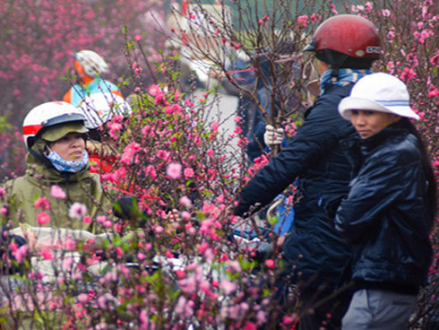 Dự báo thời tiết dịp Tết Nguyên đán Canh Tý 2020: Tết năm nay sẽ lạnh hơn so với Tết năm ngoái-2