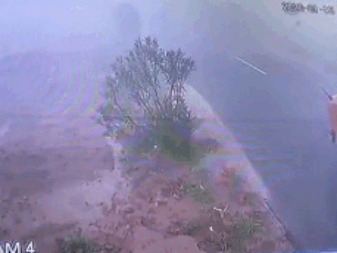 Gã say liều lĩnh nhảy xuống đường ray để tạo dáng chụp hình-1