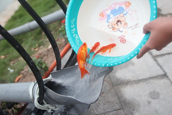 Hà Nội: Lắp cầu trượt tiễn Táo quân, người dân thích thú chờ đến lượt-9