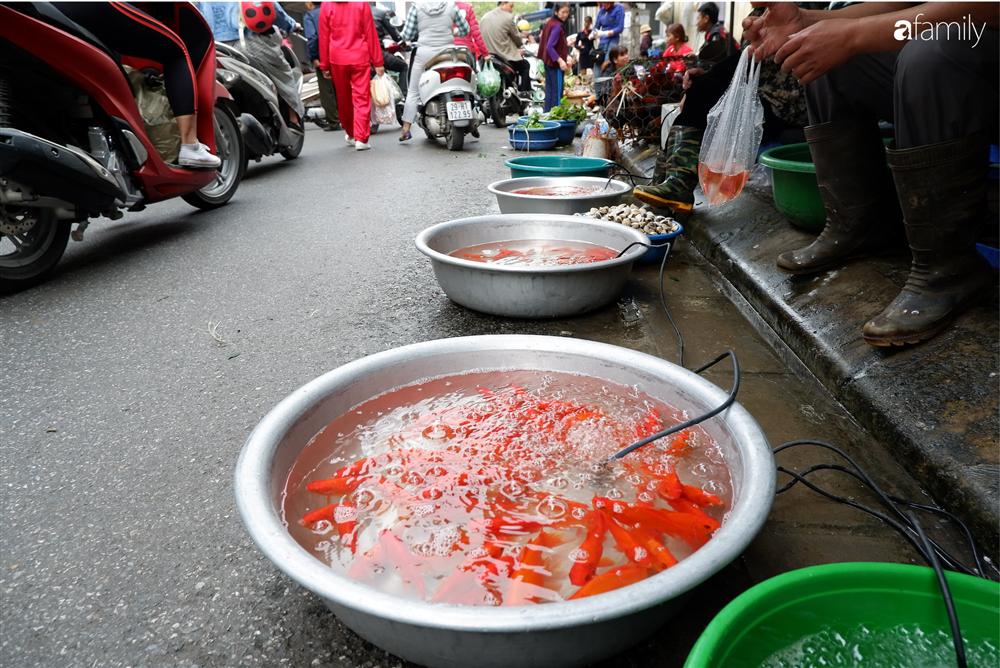 Tiễn ông Táo về trời: Người Hà Nội nhộn nhịp khiến không khí mua sắm tấp nập trên mỗi khu chợ-1