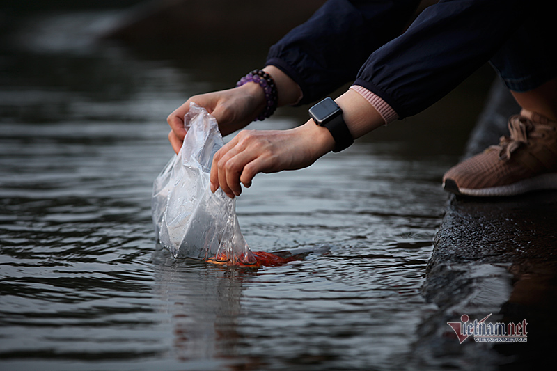 Sư thầy, học sinh, sinh viên kiên trì bảo vệ môi trường ngày ông Công, ông Táo-4