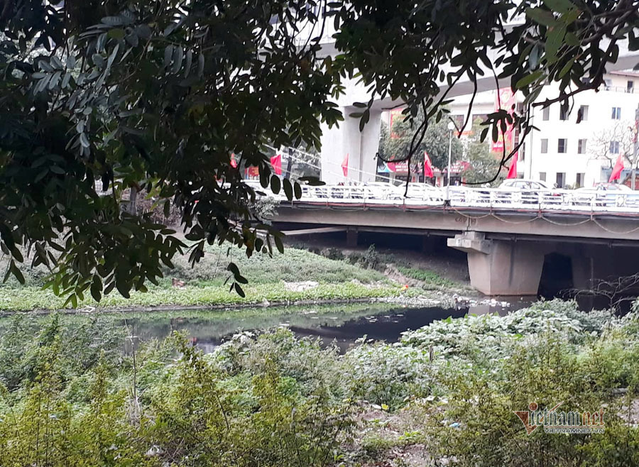 Nước sông đen kịt, bốc mùi, người Hà Nội vẫn đua nhau thả cá-1