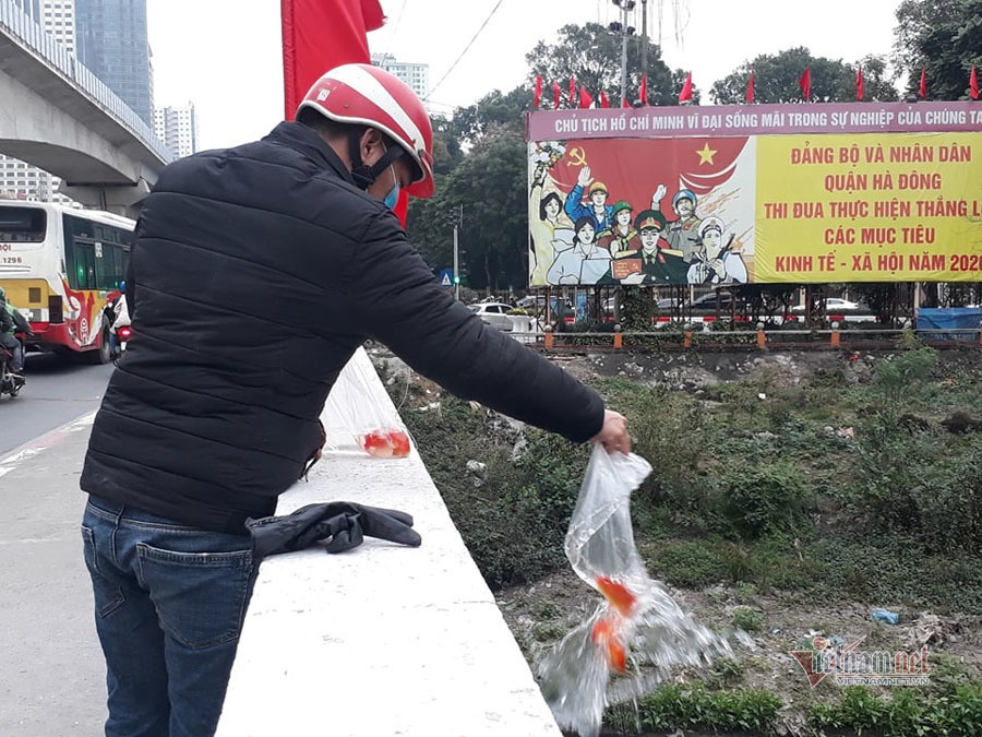 Nước sông đen kịt, bốc mùi, người Hà Nội vẫn đua nhau thả cá-5