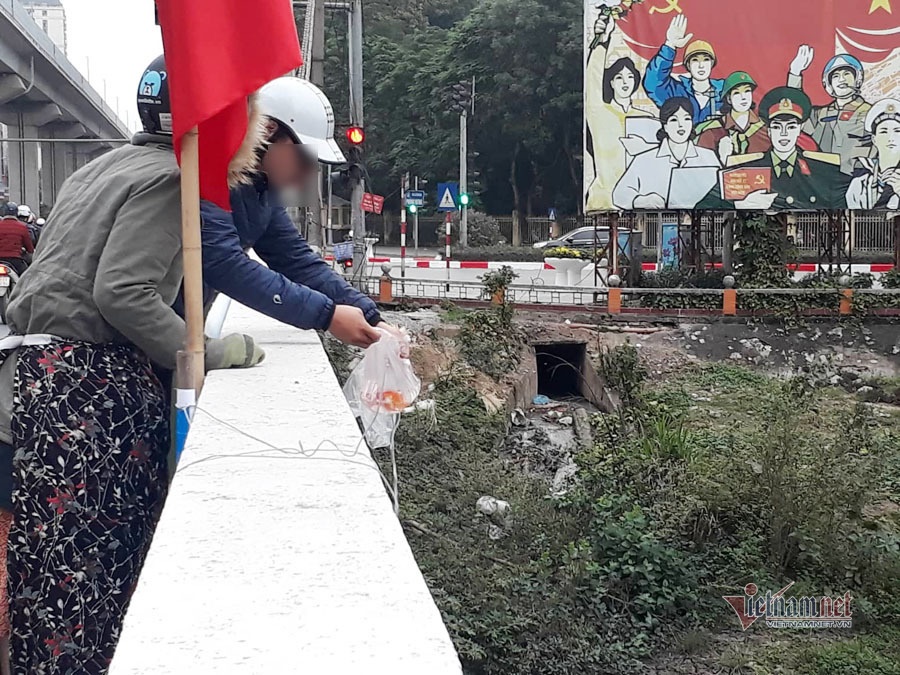 Nước sông đen kịt, bốc mùi, người Hà Nội vẫn đua nhau thả cá-7