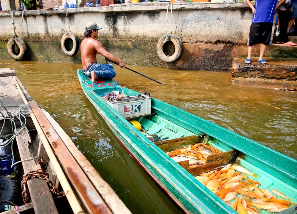 Cá cúng ông Táo bị chích điện ngay trước mặt người thả ở TP.HCM-6