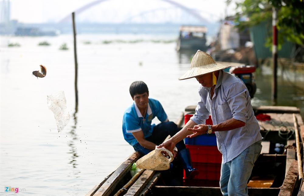 Cá cúng ông Táo bị chích điện ngay trước mặt người thả ở TP.HCM-7