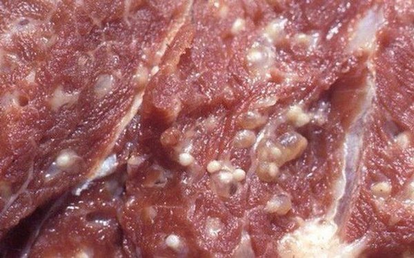 4 loại thịt lợn dù rẻ mấy cũng chớ mua kẻo rước giun sán hay bệnh tật vào người-1