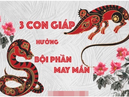 3 con giáp cần mẫn 