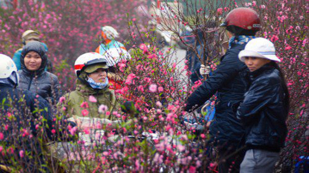 Thời tiết Tết Nguyên đán Canh Tý 2020: Gió mùa tràn về đúng đêm giao thừa, miền Bắc rét đậm vào ngày mùng 2-1