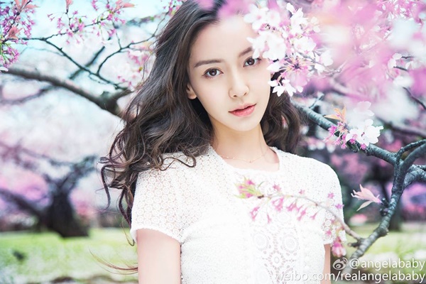Angelababy có tay trắng sau ồn ào ly hôn Huỳnh Hiểu Minh?-2
