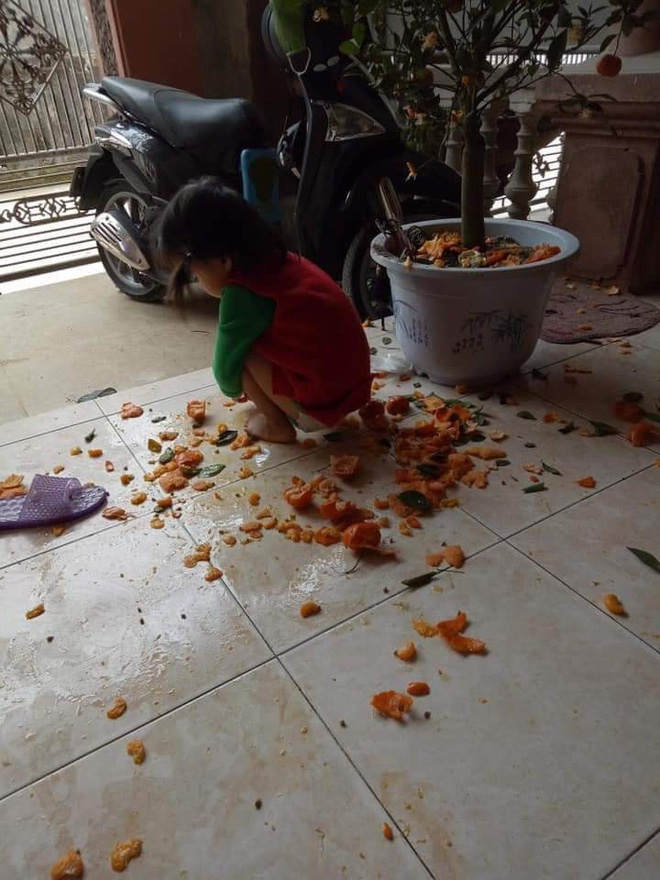 Ngồi cạnh chậu quất bị vặt trụi, cô bé khiến bố mẹ hốt hoảng vì cảnh kinh dị xung quanh-2