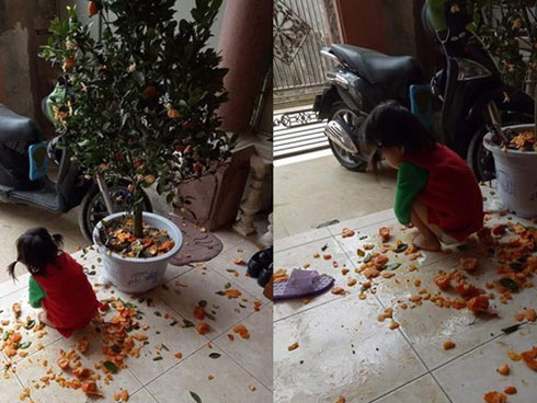 Cậu bé mầm non gây sốt MXH vì hành động trượng nghĩa khi bảo vệ anh trai nhưng câu nói sau cùng tiết lộ sự thật hài hước-2