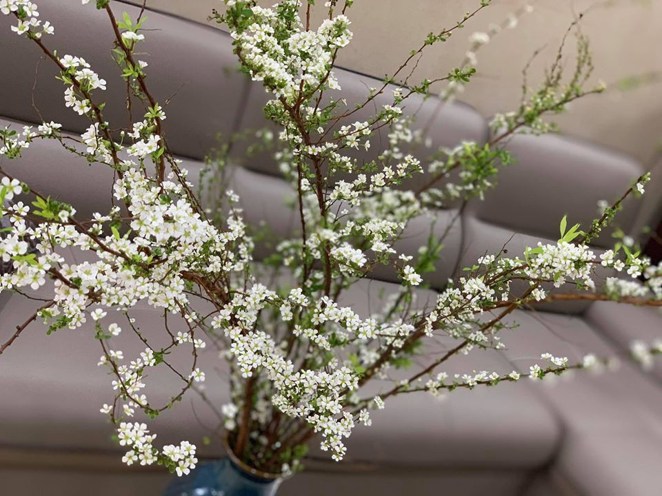 Tết Canh Tý 2020: Quất tăng giá, đào giảm mạnh, hoa nhập khẩu hút khách-9