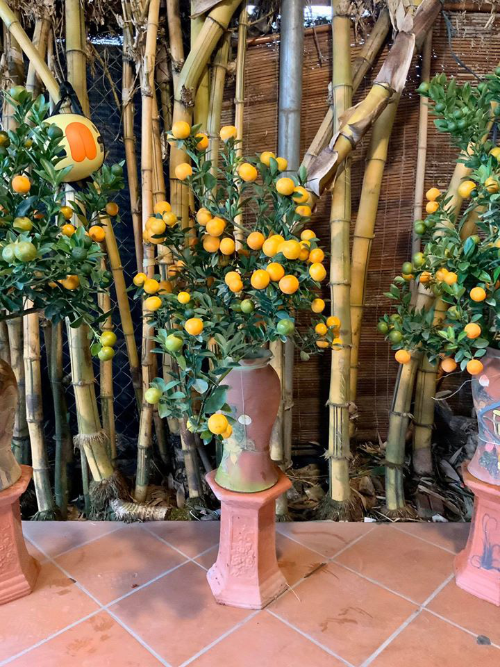 Tết Canh Tý 2020: Quất tăng giá, đào giảm mạnh, hoa nhập khẩu hút khách-3