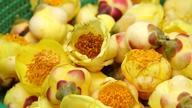 Nước mắm làm từ chất tẩy rửa vệ sinh, rợn người đầu độc dân mình-3