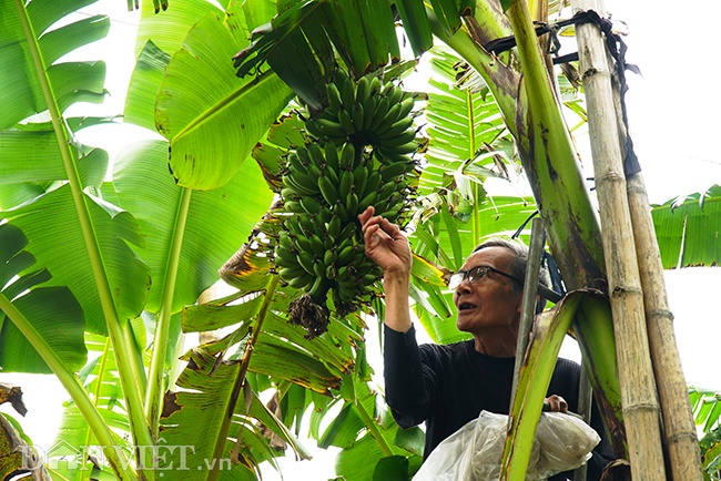 Nước mắm làm từ chất tẩy rửa vệ sinh, rợn người đầu độc dân mình-4