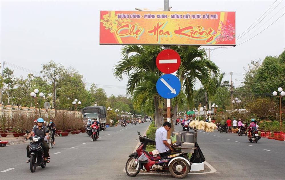 Cận cảnh lão mai 90 năm tuổi được rao bán 1 tỉ đồng-1