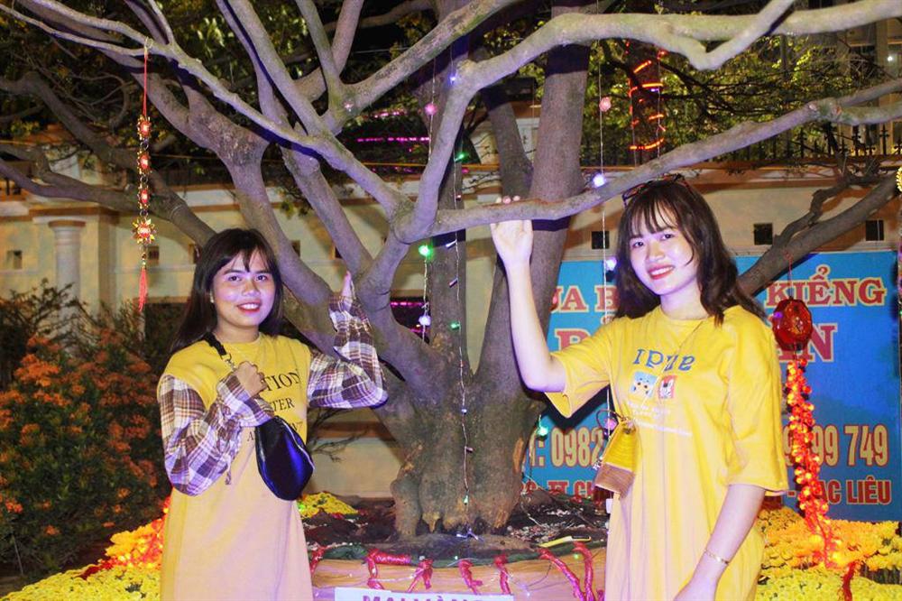 Cận cảnh lão mai 90 năm tuổi được rao bán 1 tỉ đồng-13