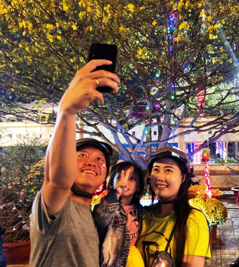 Cận cảnh lão mai 90 năm tuổi được rao bán 1 tỉ đồng-14