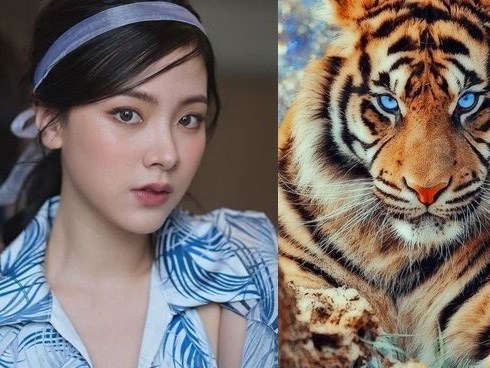 7 ngày tới, 3 con giáp vận đỏ như son, tiền bạc ngập két không ai sánh kịp