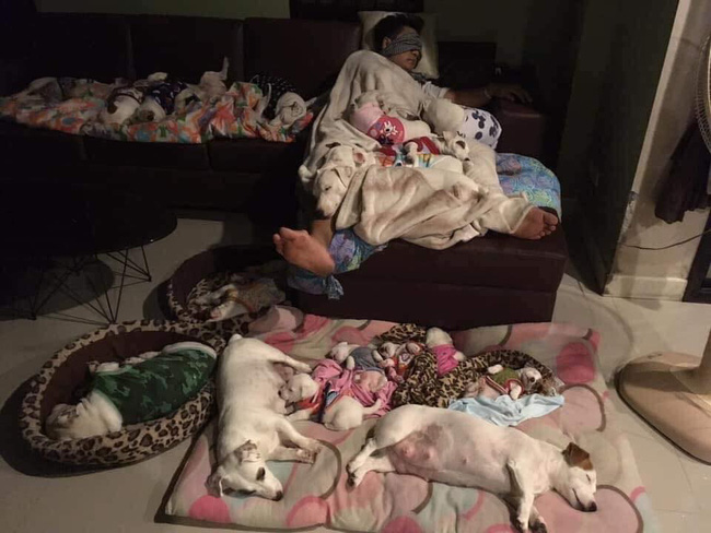 Anh chồng kêu khổ vì vợ cứ nằng nặc đòi nuôi 2 con chó, 3 năm sau kết cục xảy đến với anh khiến ai nấy câm nín-5